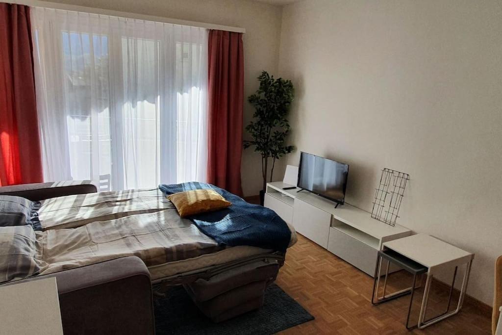 Apartment Via San Carlo In Muralto-Locarno المظهر الخارجي الصورة