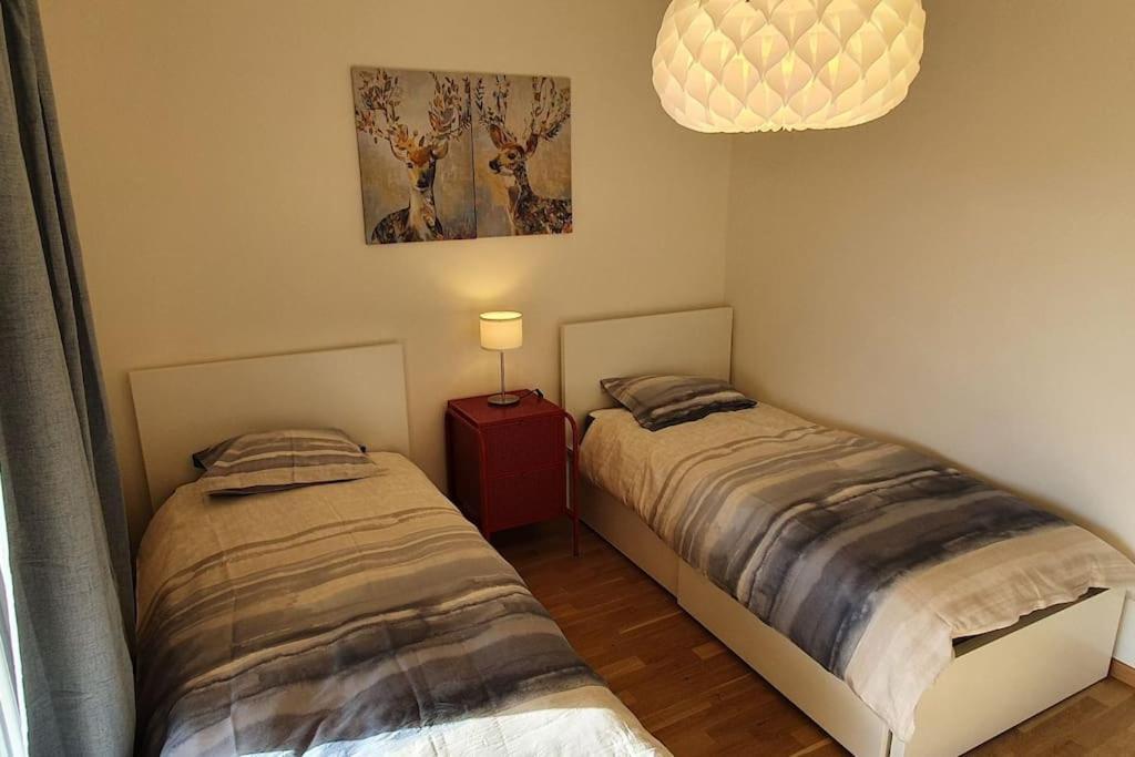 Apartment Via San Carlo In Muralto-Locarno المظهر الخارجي الصورة